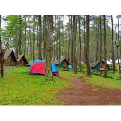 Paket Camping Seru di Bandung-Lembang-Rovers Global Indonesia